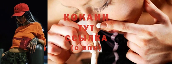 соль ск Семёнов