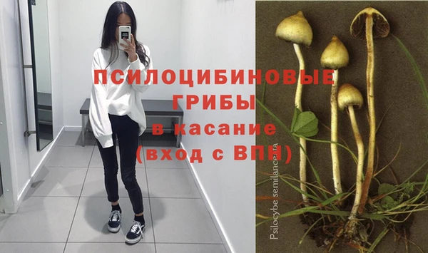 круглые Абаза