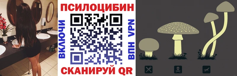 Галлюциногенные грибы мицелий  Вилюйск 